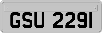 GSU2291