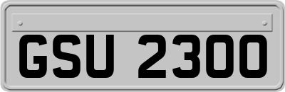 GSU2300