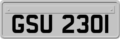 GSU2301