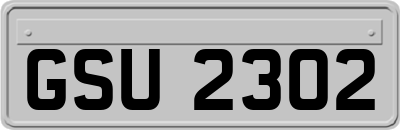 GSU2302