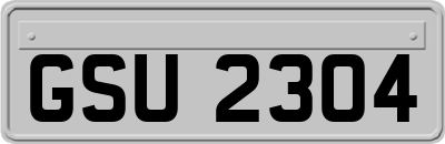 GSU2304