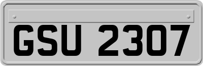 GSU2307