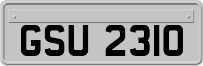 GSU2310