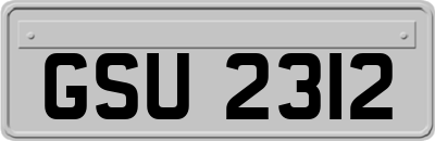 GSU2312