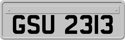 GSU2313