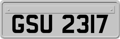 GSU2317