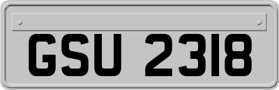 GSU2318