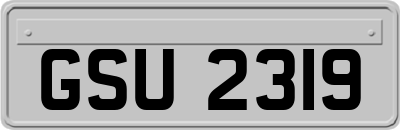 GSU2319