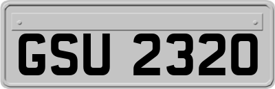 GSU2320