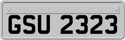GSU2323