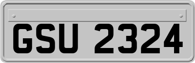 GSU2324