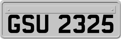 GSU2325