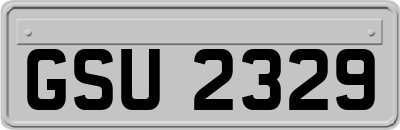 GSU2329