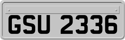GSU2336