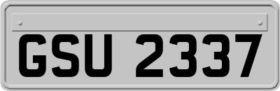 GSU2337