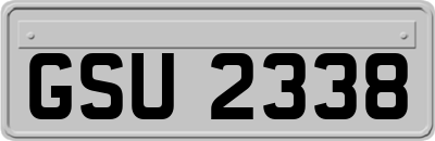 GSU2338