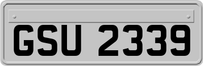 GSU2339