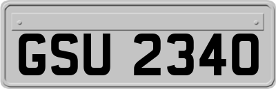 GSU2340