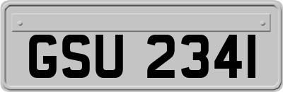 GSU2341
