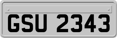 GSU2343
