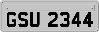 GSU2344