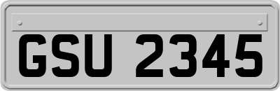 GSU2345