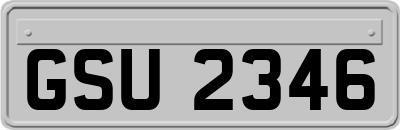 GSU2346