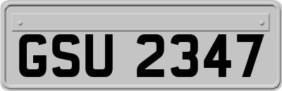 GSU2347