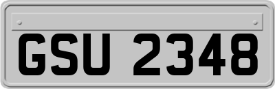 GSU2348