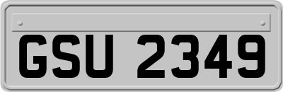 GSU2349