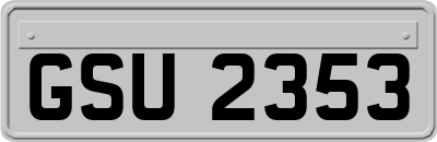 GSU2353