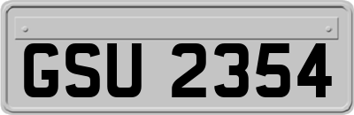 GSU2354