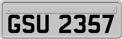 GSU2357