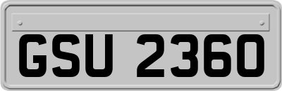 GSU2360