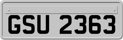 GSU2363
