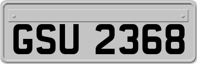 GSU2368