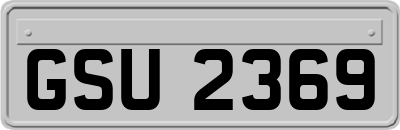 GSU2369