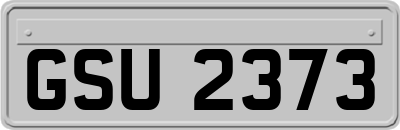 GSU2373