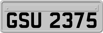 GSU2375
