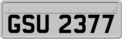 GSU2377