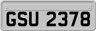 GSU2378