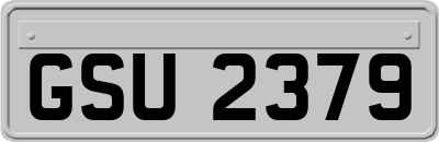 GSU2379
