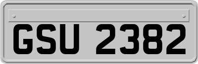 GSU2382