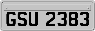 GSU2383