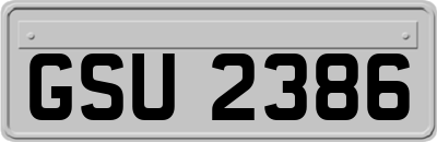 GSU2386