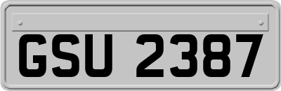 GSU2387