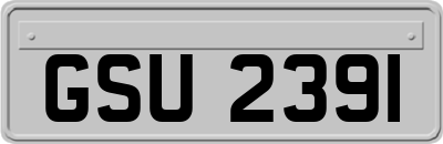 GSU2391