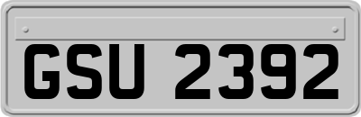 GSU2392