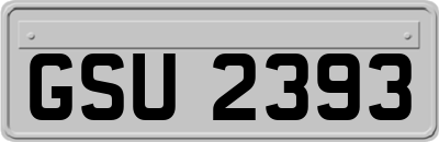 GSU2393