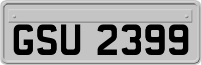 GSU2399